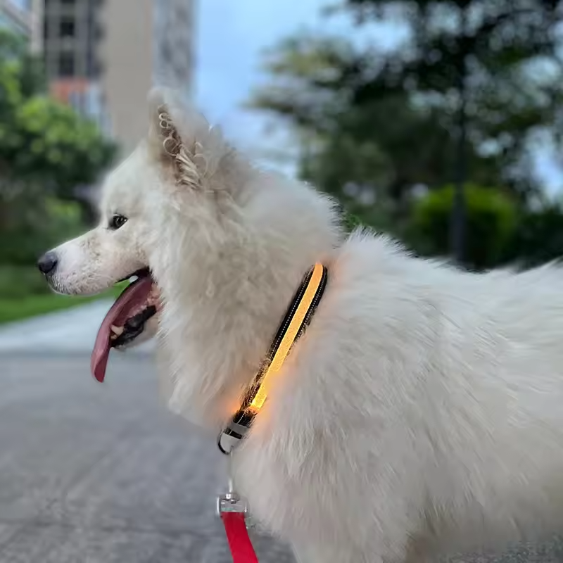 Smart LED Dog Collar – Waterproof, Reflective & App Controlled | Night Safety